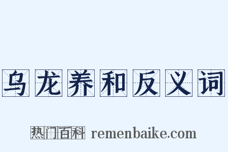 乌龙养和反义词是什么意思的图片